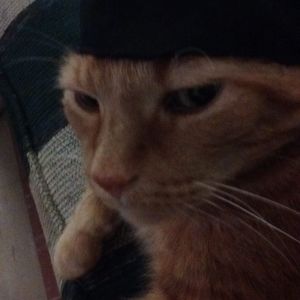 Meet your Posher, Melody